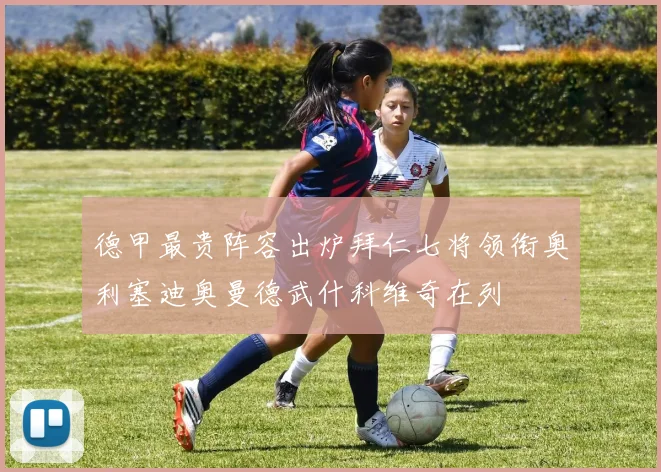 德甲最贵阵容出炉拜仁七将领衔奥利塞迪奥曼德武什科维奇在列