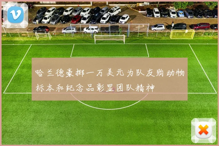 哈兰德豪掷一万美元为队友购动物标本和纪念品彰显团队精神
